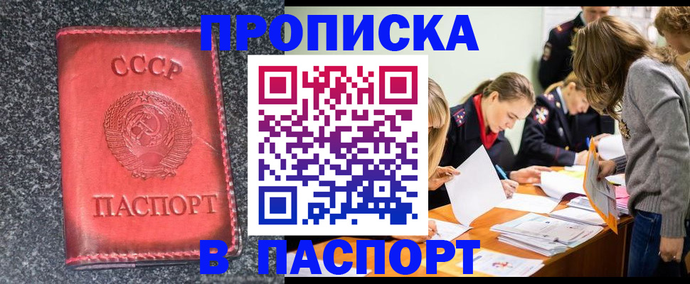 прописка для школы в Владимирской области